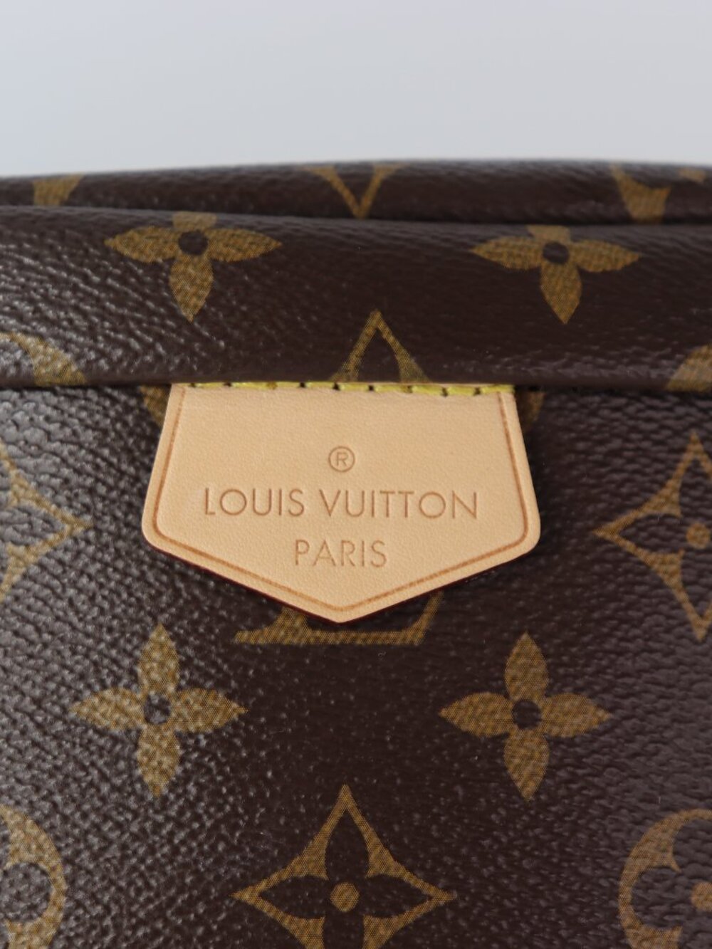 Louis Vuitton Monogram Bumbag - Picture 2 of 16